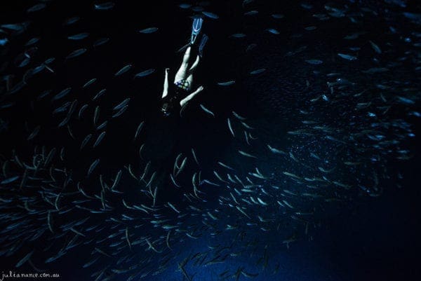 Underwater Photography underwater photography