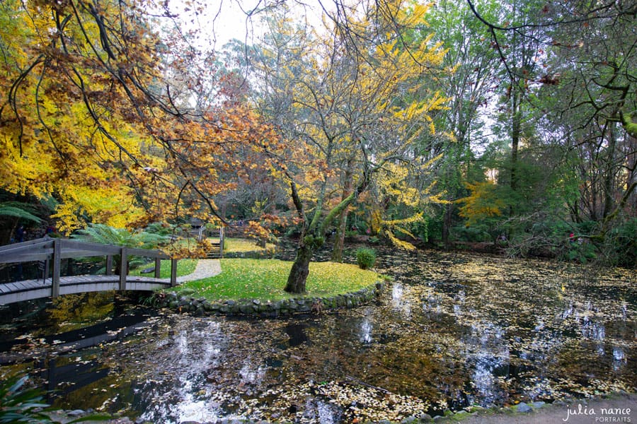 Alfred Nicholas Gardens - Landscape Photography - Things to do in the Yarra Valley
