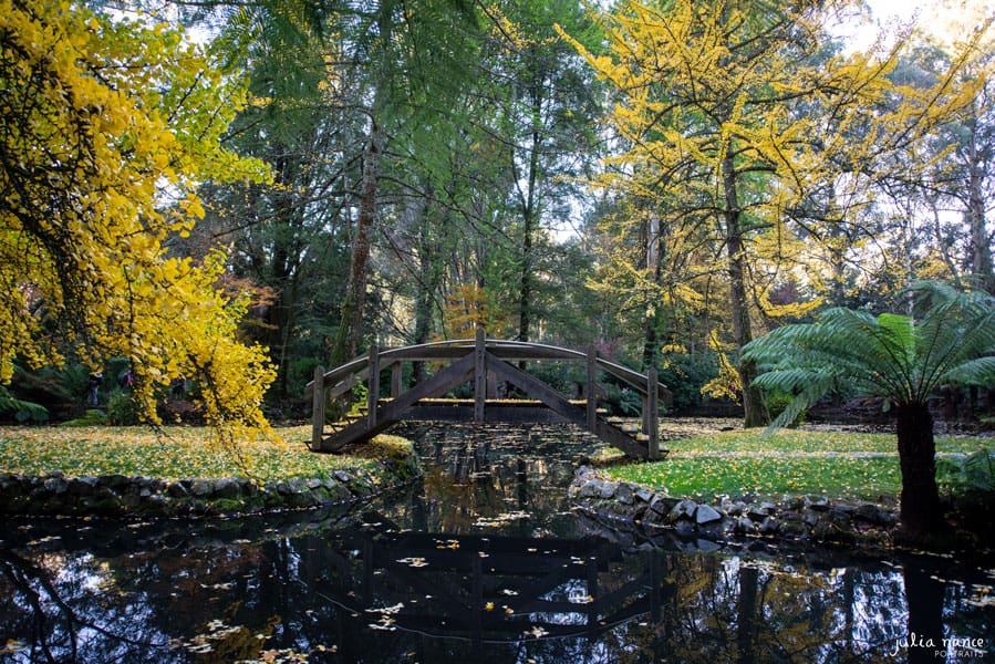 Alfred Nicholas Gardens - Landscape Photography - Things to do in the Yarra Valley