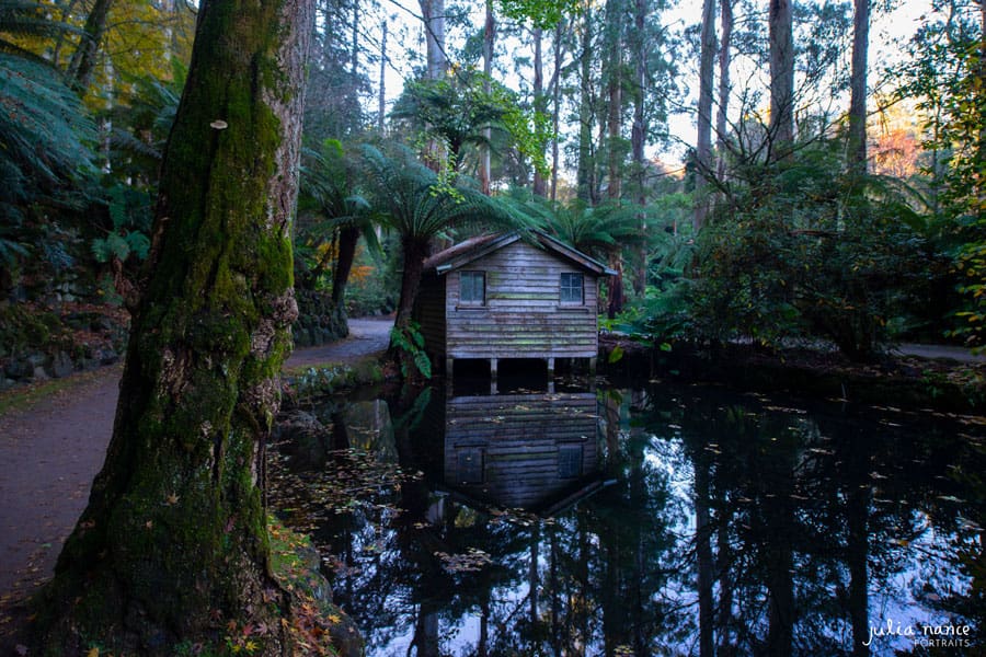Alfred Nicholas Gardens - Landscape Photography - Things to do in the Yarra Valley