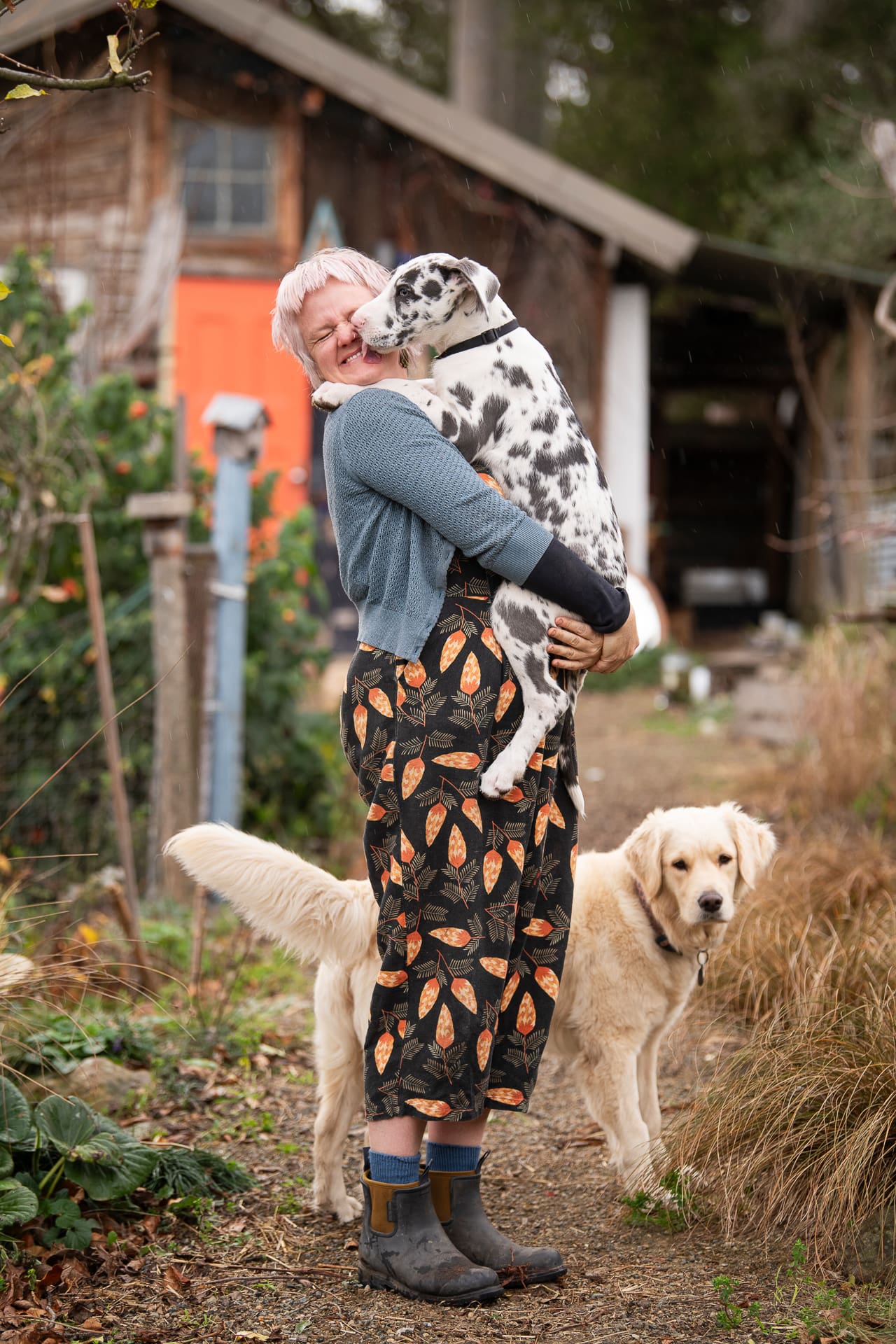 Clare stands outside her old artist studio. She holds her Great Dane puppy as he licks her face, while her Golden retriever stands behind her.